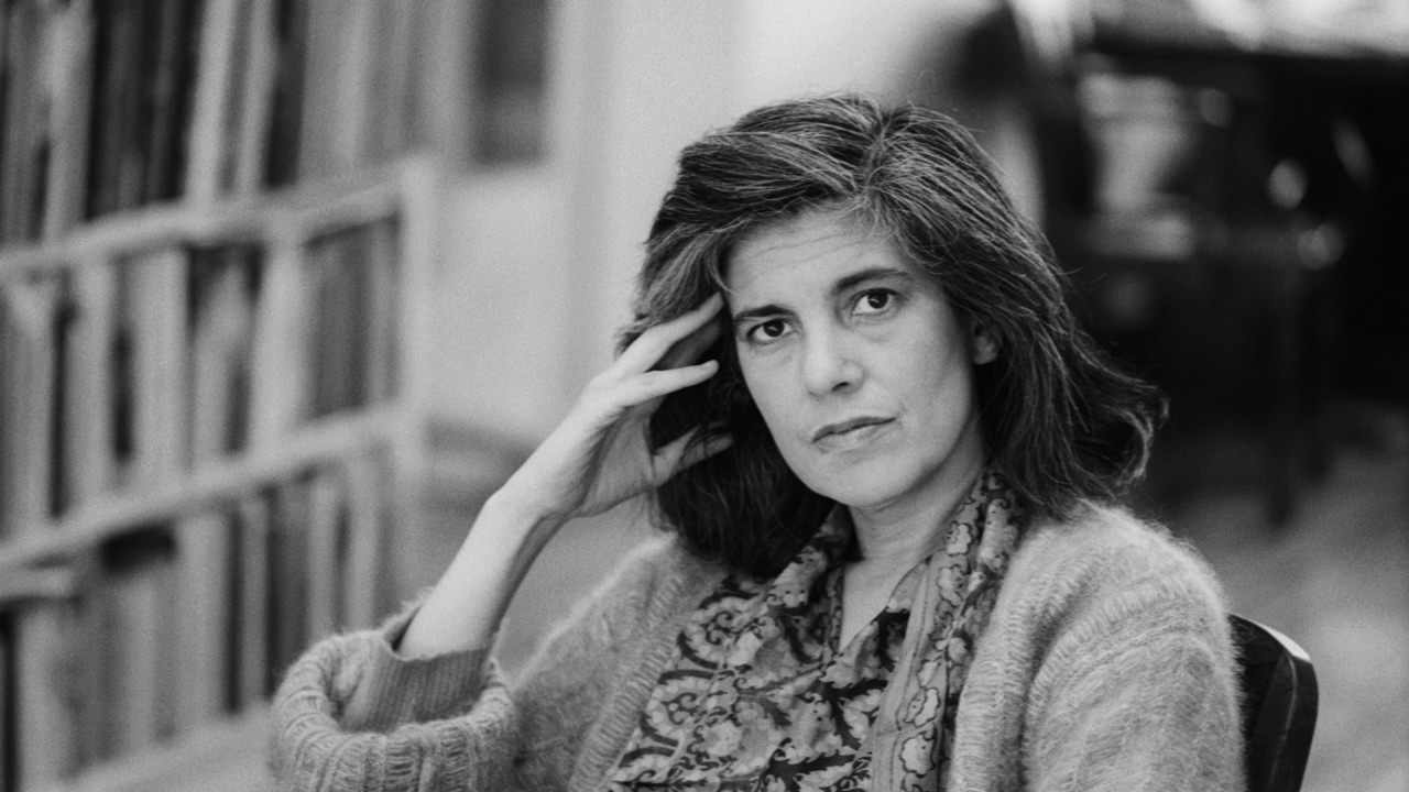 Susan Sontag image